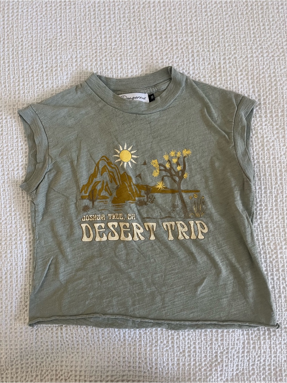 Girl Dangerous Desert Trip Graphic Crop Tee